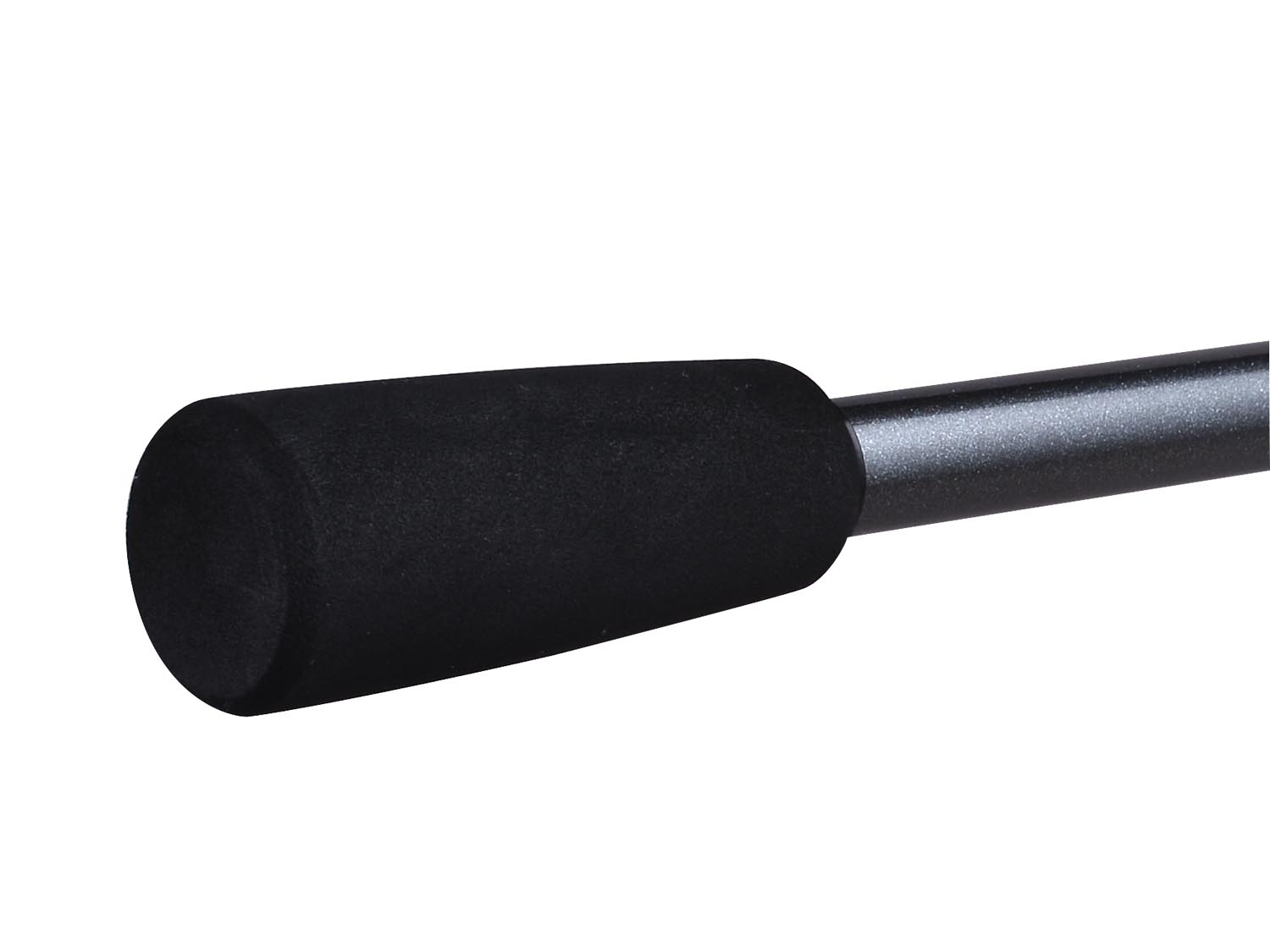 CAS 1010 CASTED štap Satis Spin 9'0'' 274cm 30-100g 2sec