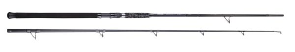 CAS 1070 CASTED štap Bully Cat 298cm 200-300g 2sec        