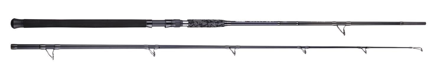 CAS 1070 CASTED štap Bully Cat 298cm 200-300g 2sec        