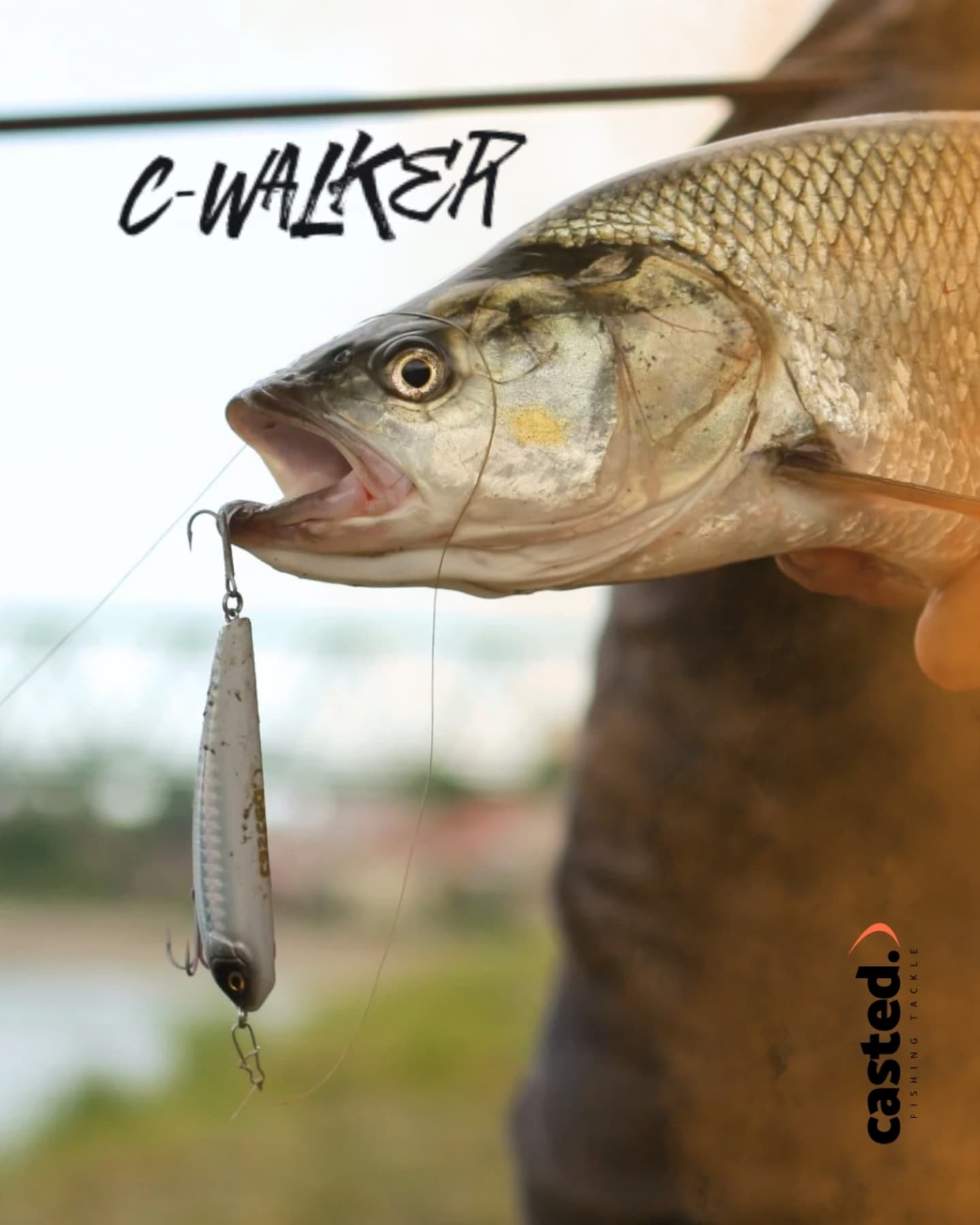 CAS 8034 CASTED VARALICA VOBLER C-WALKER GHOST SEXY SHAD 80 MM 8.5 G FLOATING