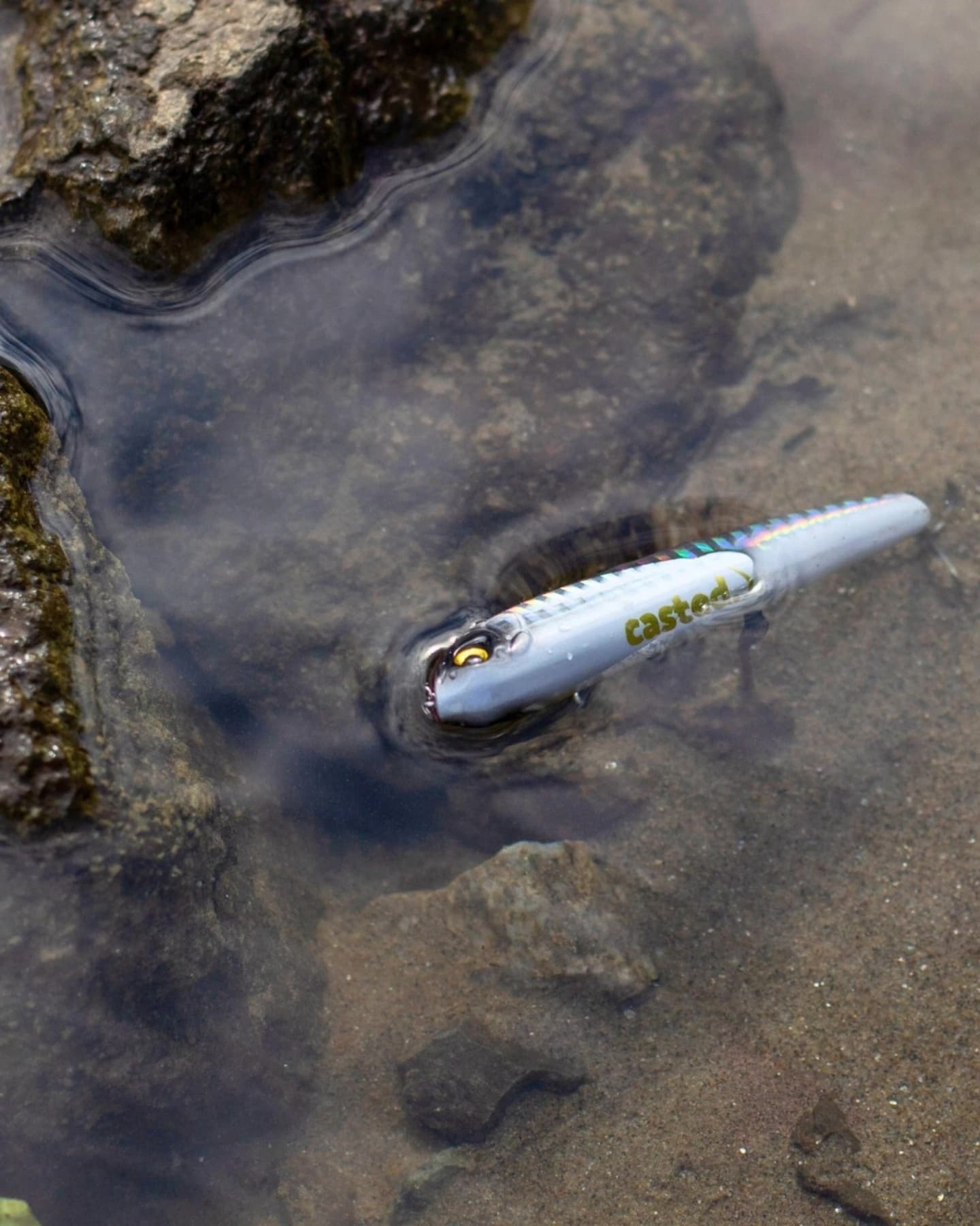CAS 8034 CASTED VARALICA VOBLER C-WALKER GHOST SEXY SHAD 80 MM 8.5 G FLOATING