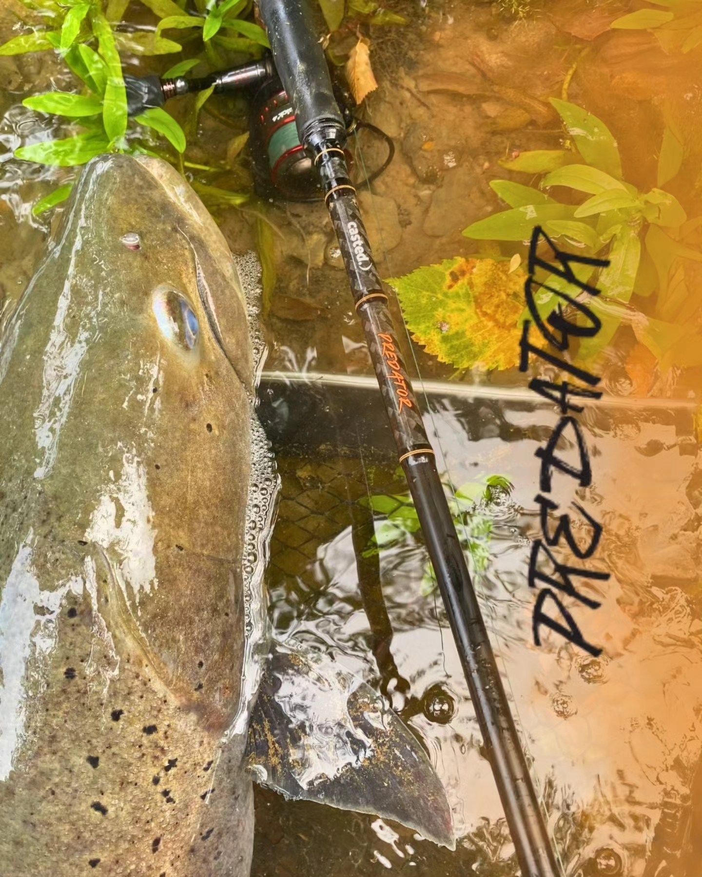 CAS 1142 Casted štap PREDATOR Spin 8'6'' 259cm70g 2sec