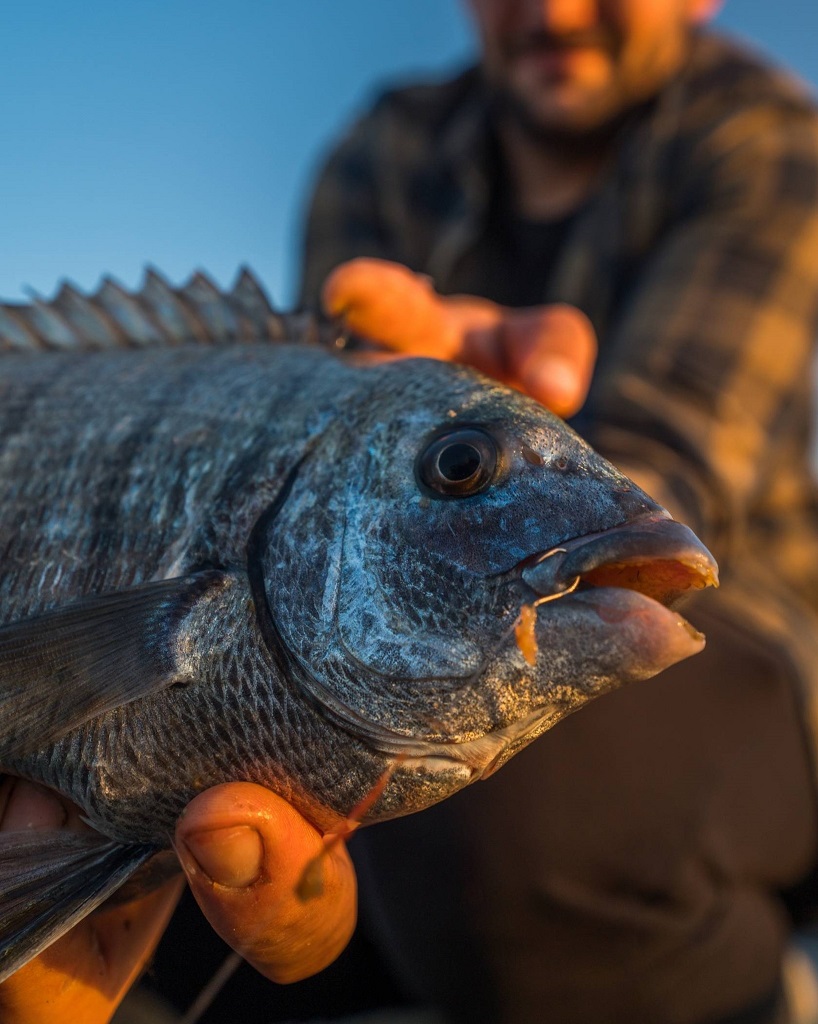 496AP-TX-1-20A Mustad udice AlphaPoint Alpha Allround Spade, 1 20kom