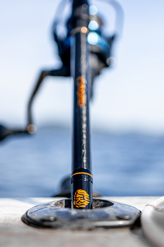 FISHING RODS